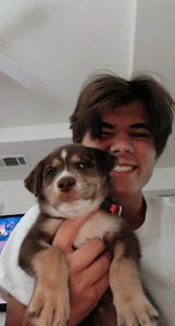 Meet your Posher, Blake